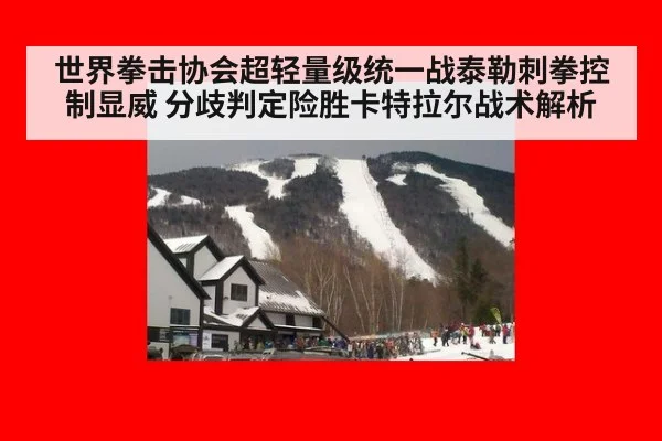 世界拳击协会超轻量级统一战泰勒刺拳控制显威 分歧判定险胜卡特拉尔战术解析