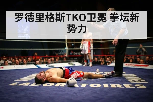 罗德里格斯TKO卫冕 拳坛新势力