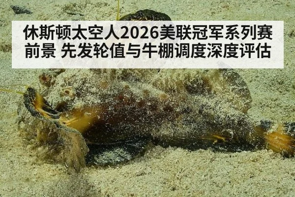 休斯顿太空人2026美联冠军系列赛前景 先发轮值与牛棚调度深度评估